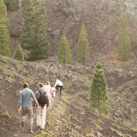 아파트 Tenerife Adeje 아데제