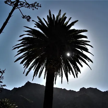 Tenerife Adeje 아데제