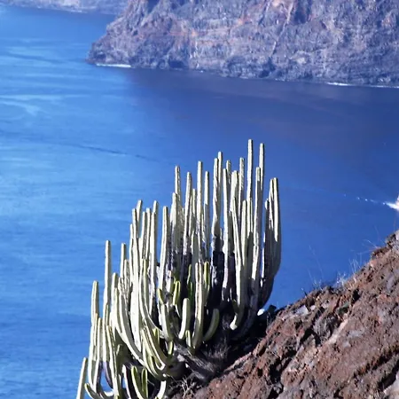 Tenerife Adeje 아파트 아데제